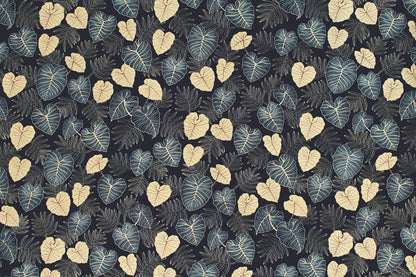 CAA1420 Navy
