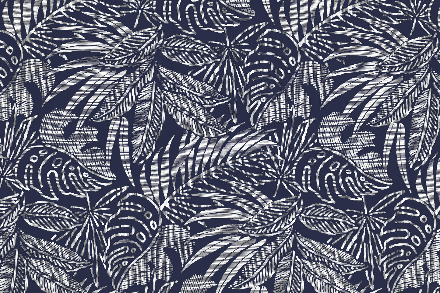 CAA1429 Navy