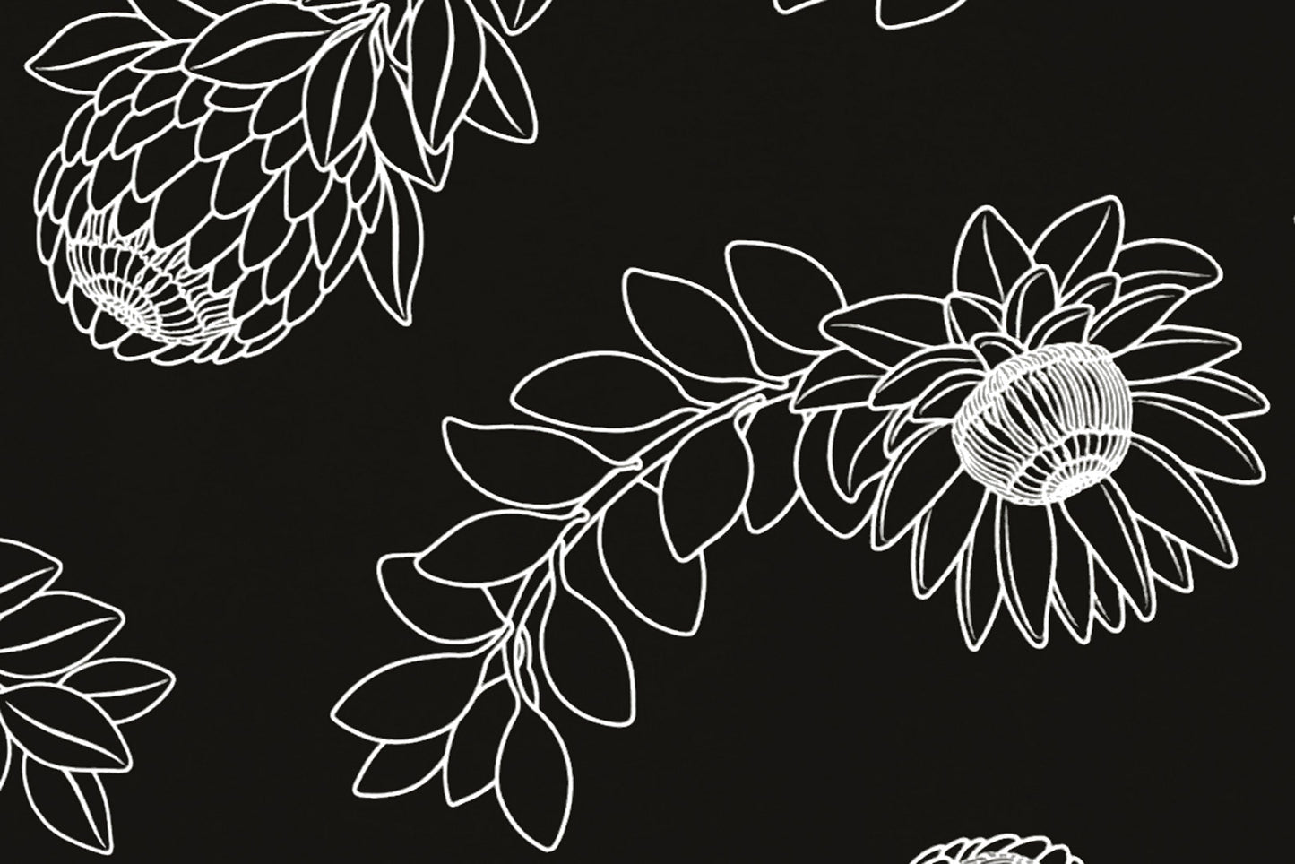 CAA1431 Black/White