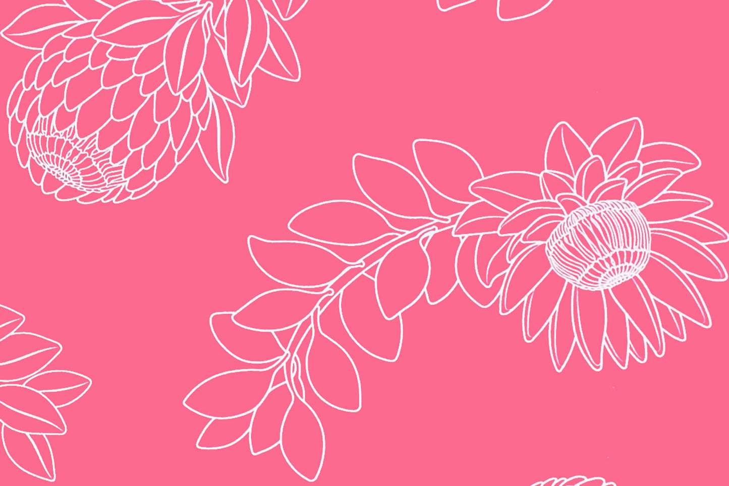 CAA1431 Pink
