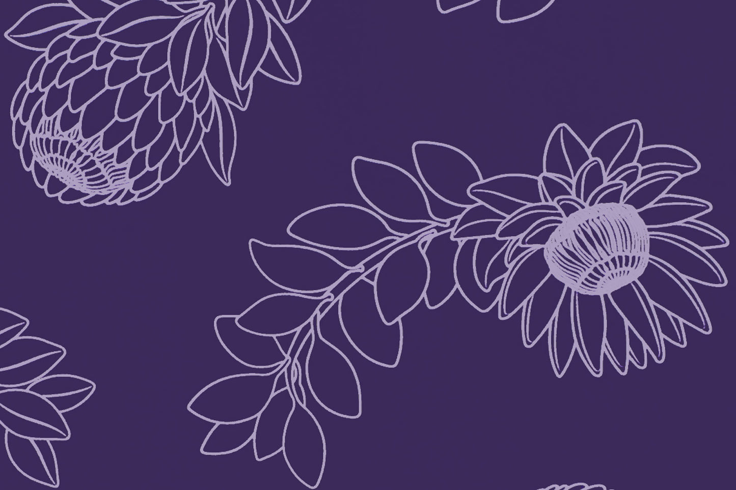 CAA1431 Purple