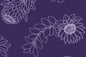 CAA1431 Purple