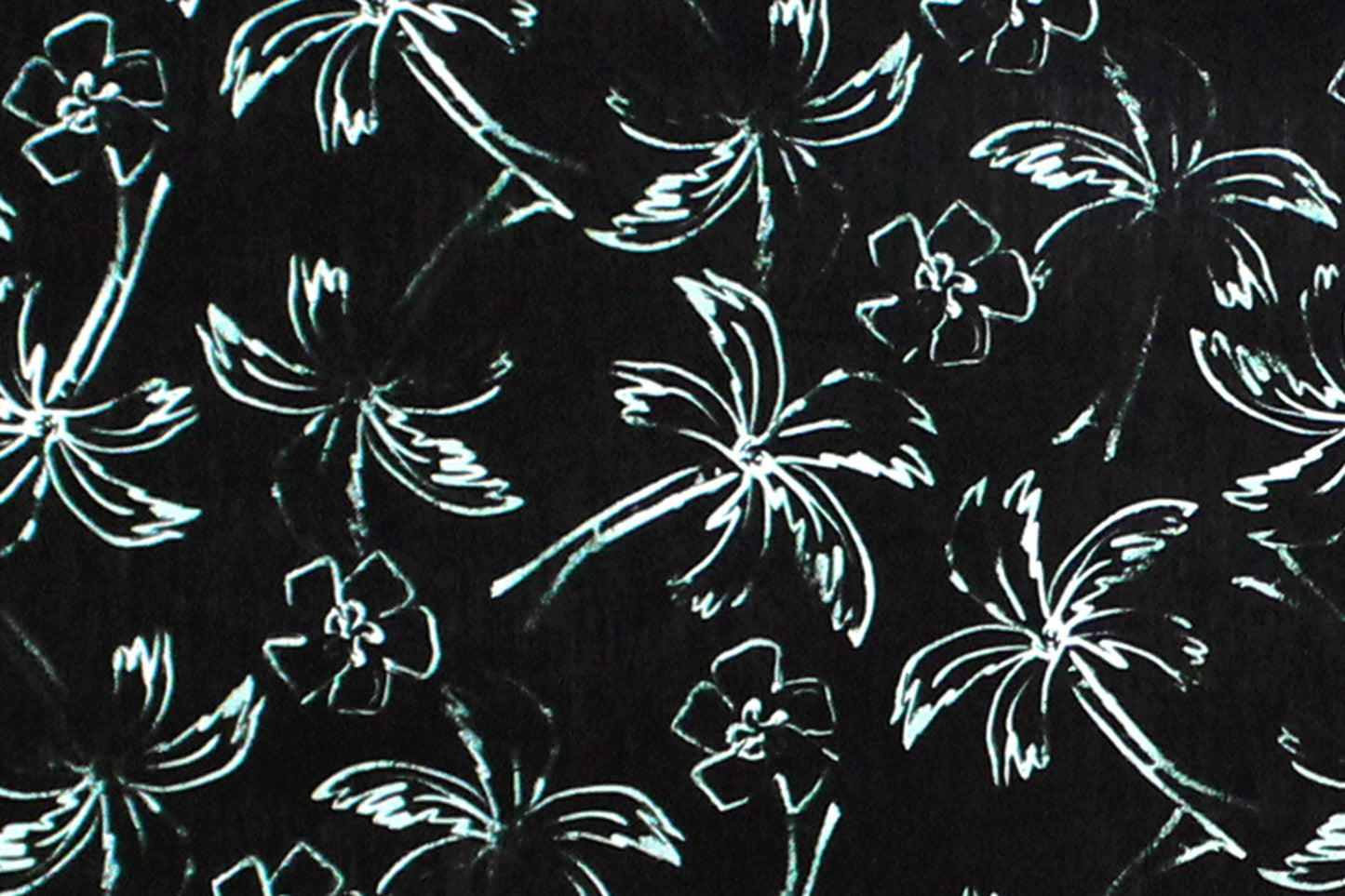 CAA1439 Black