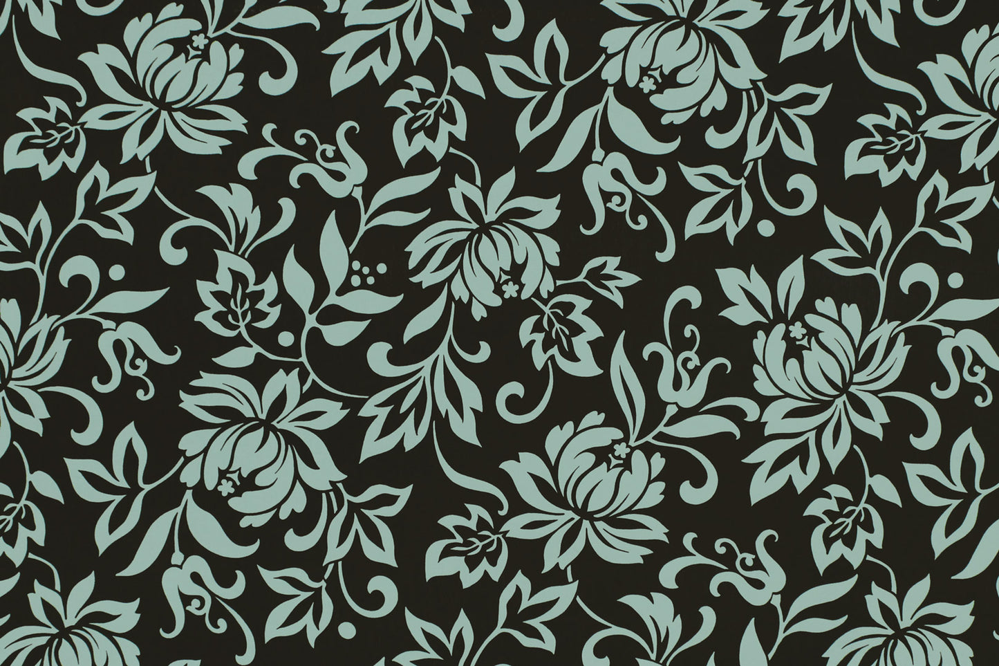 CAA1441 Black