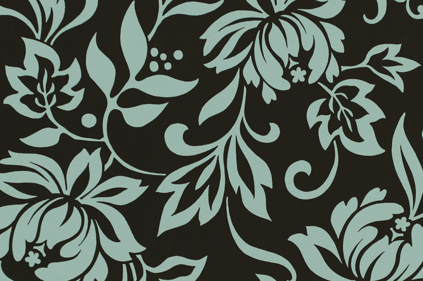 CAA1441 Black