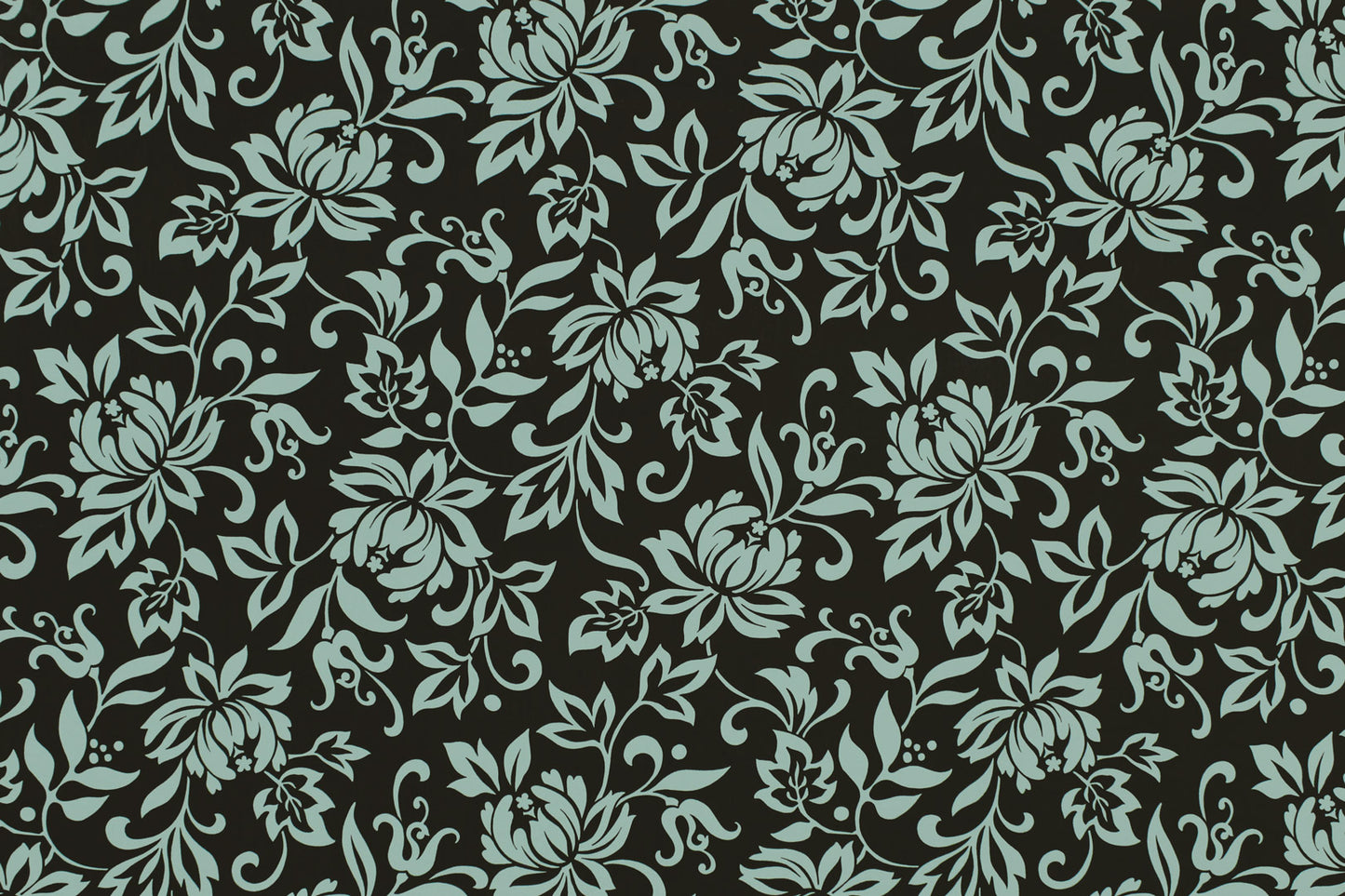 CAA1441 Black