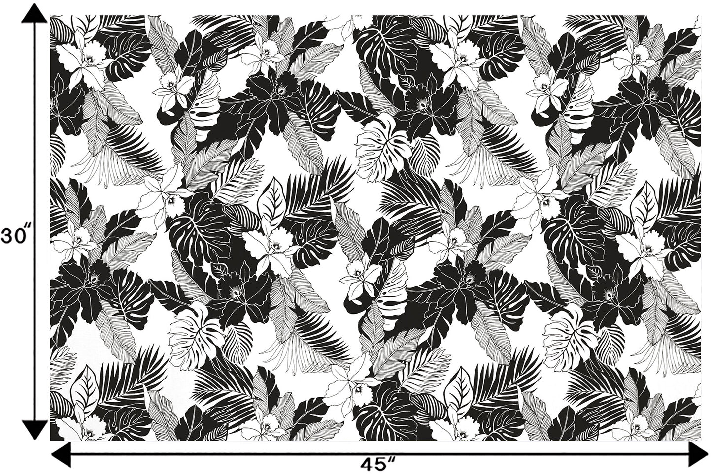 CAA1442 White/Black