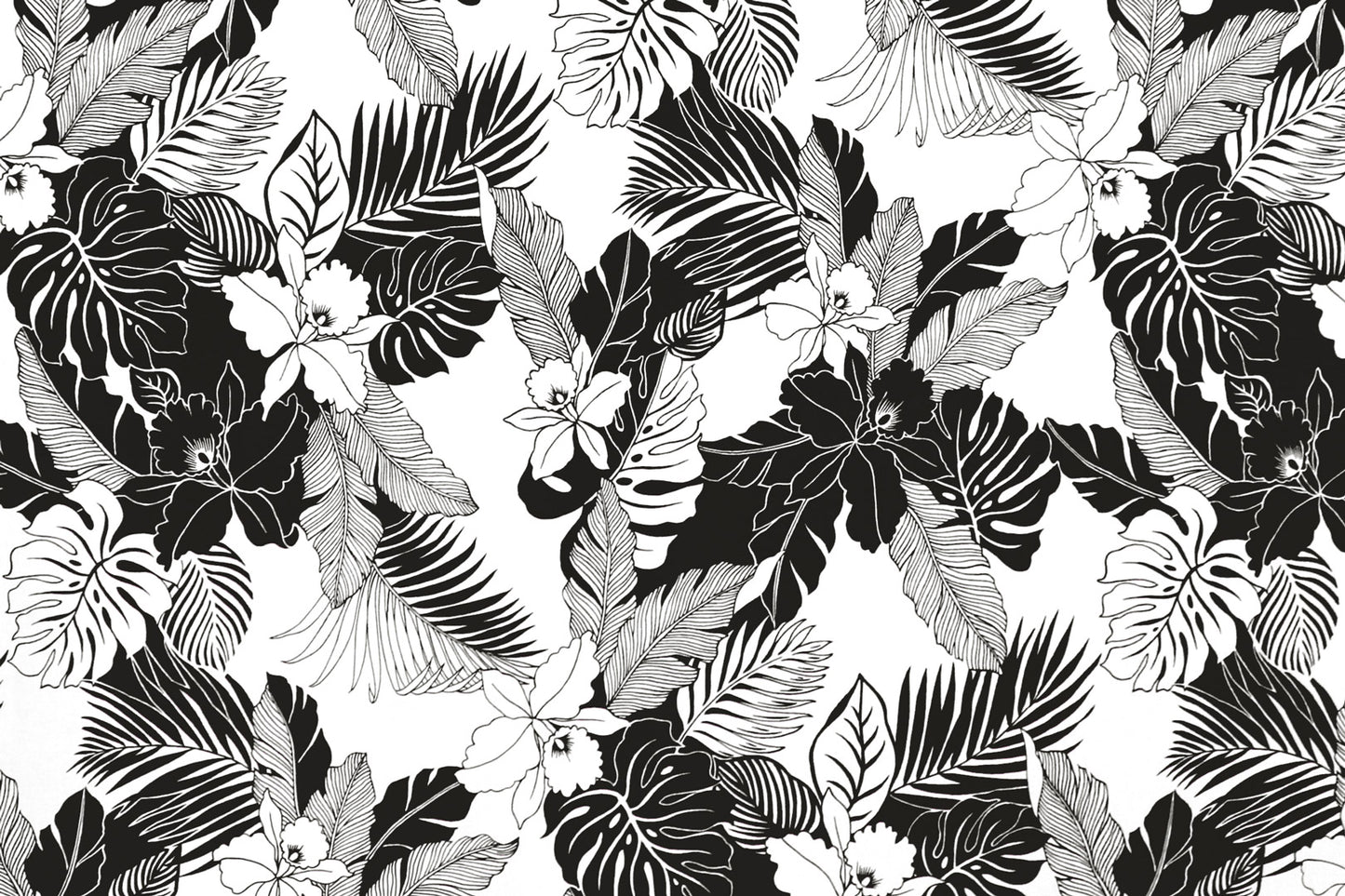 CAA1442 White/Black
