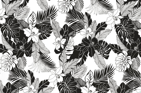 CAA1442 White/Black