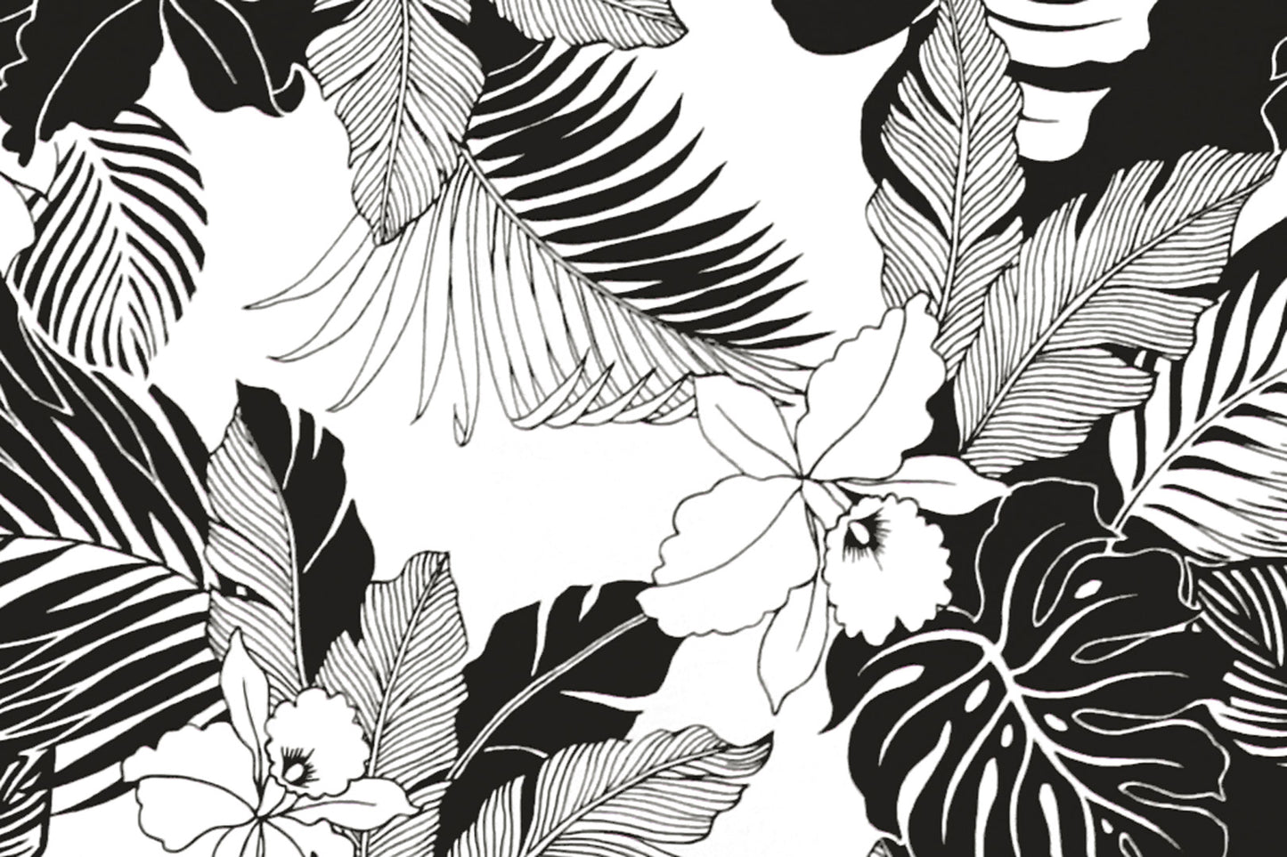 CAA1442 White/Black