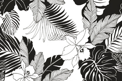 CAA1442 White/Black