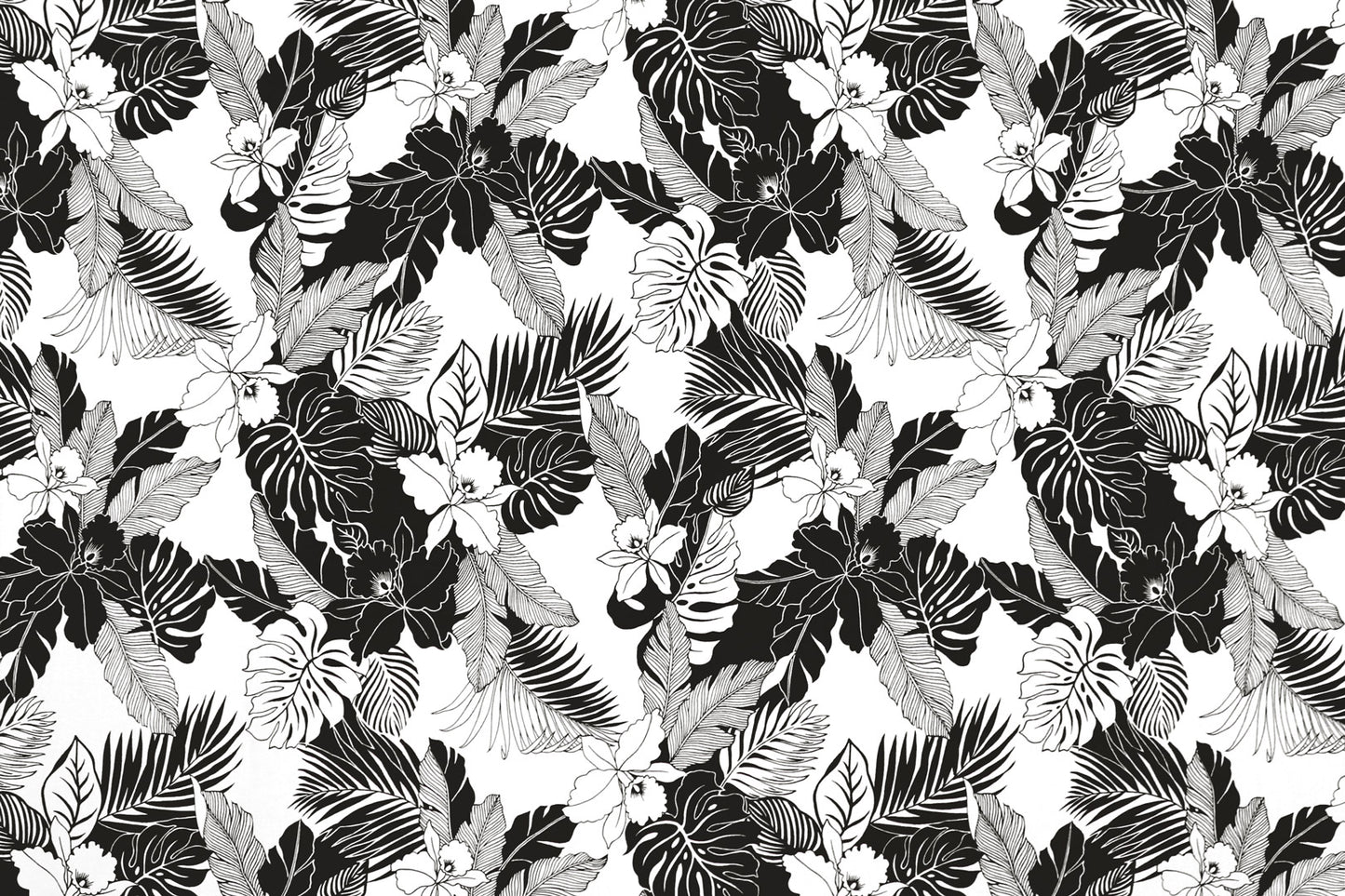 CAA1442 White/Black