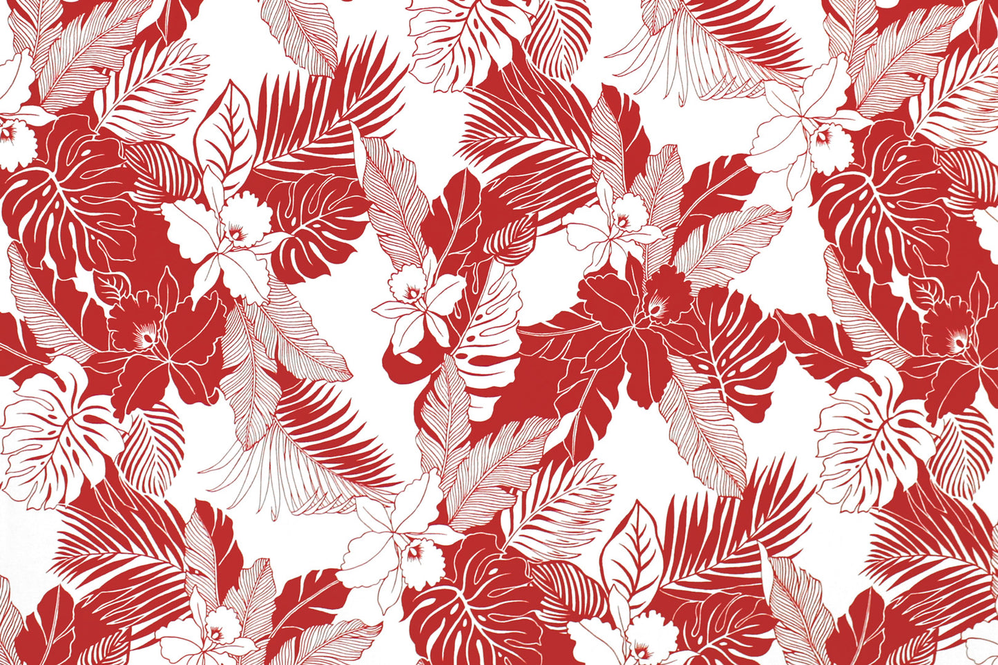 CAA1442 White/Red