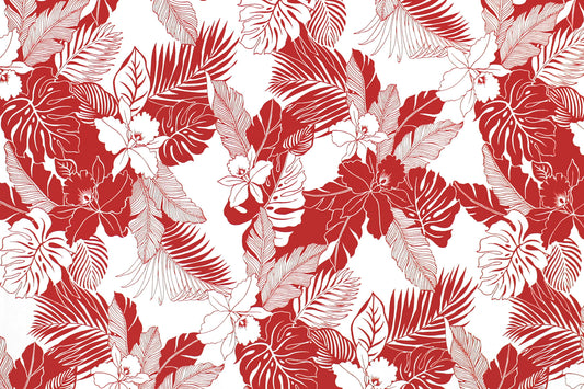 CAA1442 White/Red