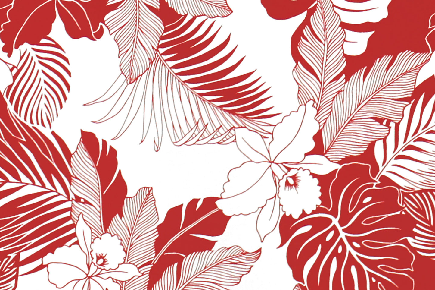 CAA1442 White/Red