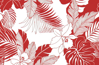 CAA1442 White/Red