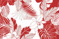 CAA1442 White/Red