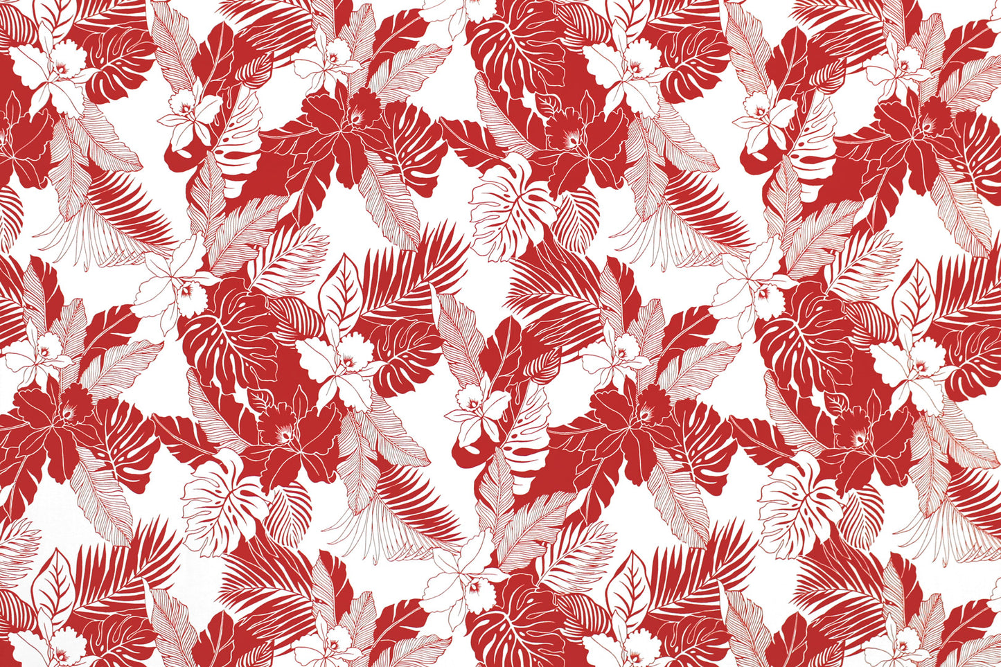 CAA1442 White/Red