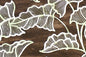 CAA1444 Brown