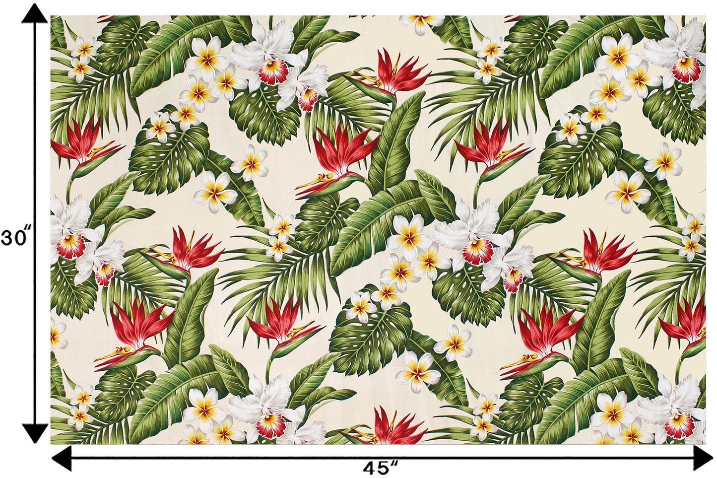 CAA1446 Cream