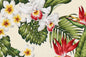CAA1446 Cream