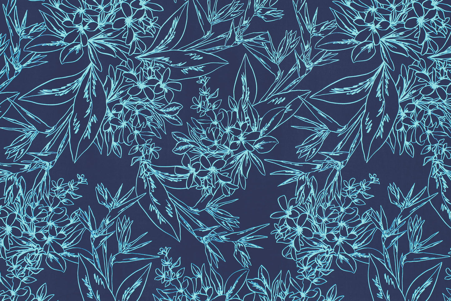 CAA1448 Navy