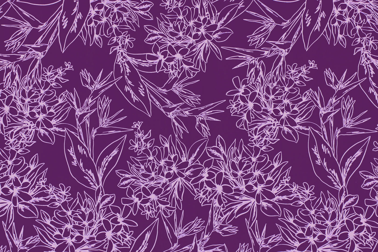 CAA1448 Purple