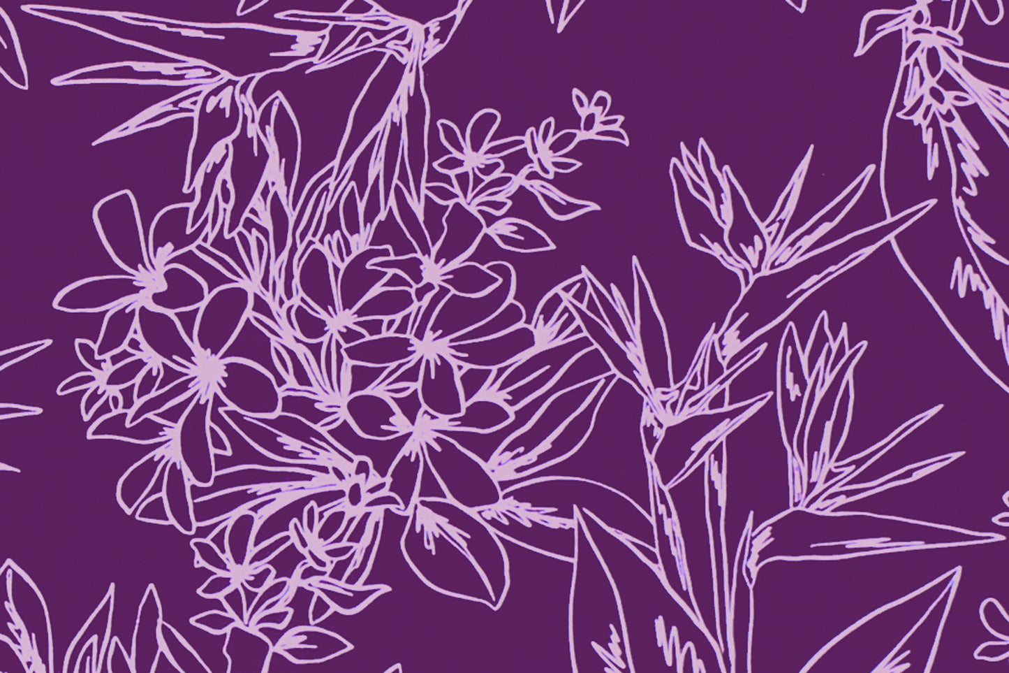 CAA1448 Purple