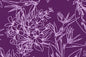 CAA1448 Purple