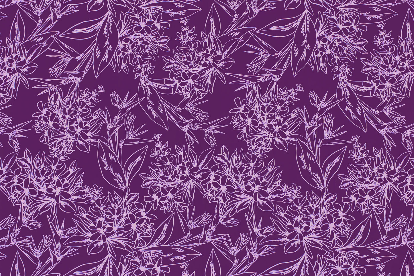 CAA1448 Purple