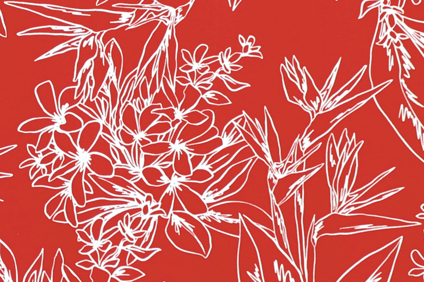 CAA1448 Red