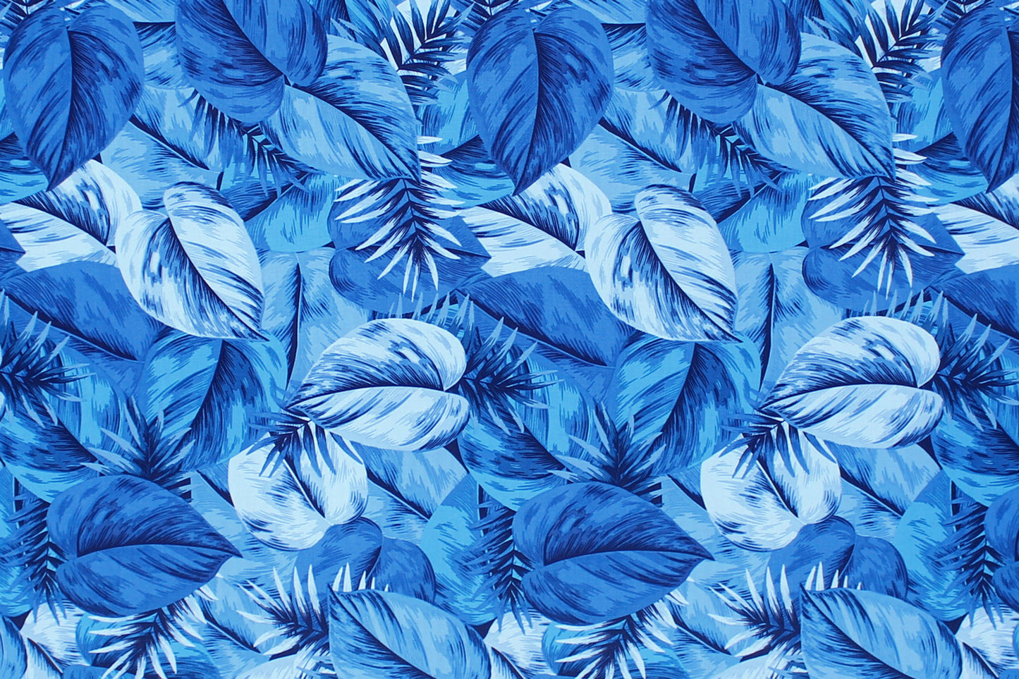 CAA1450 Blue