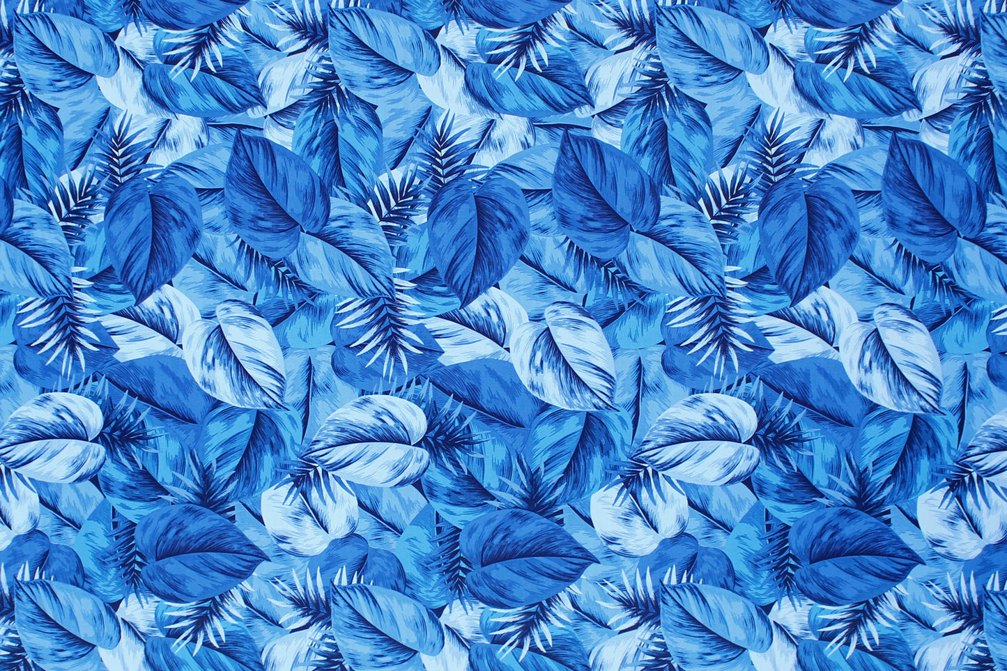 CAA1450 Blue