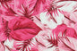 CAA1450 Pink