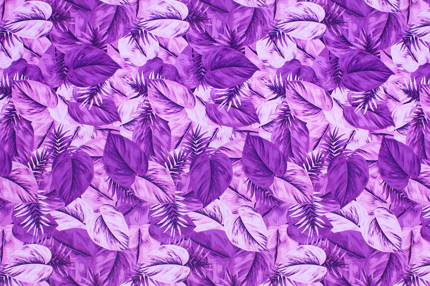 CAA1450 Purple