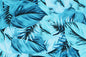 CAA1450 Teal