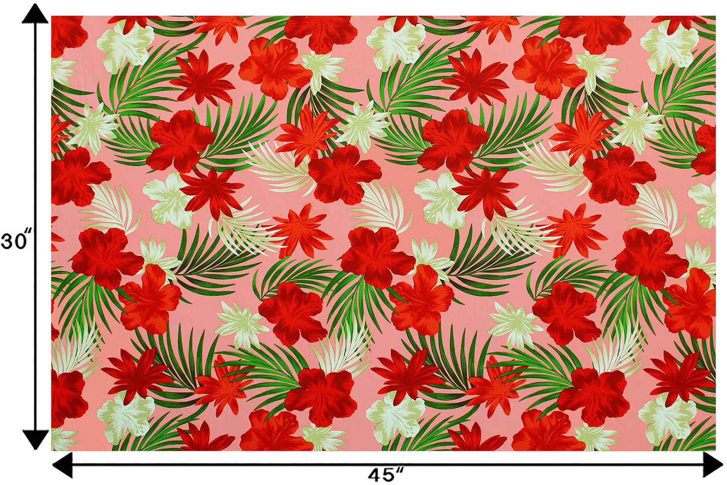 CAA1453 Coral