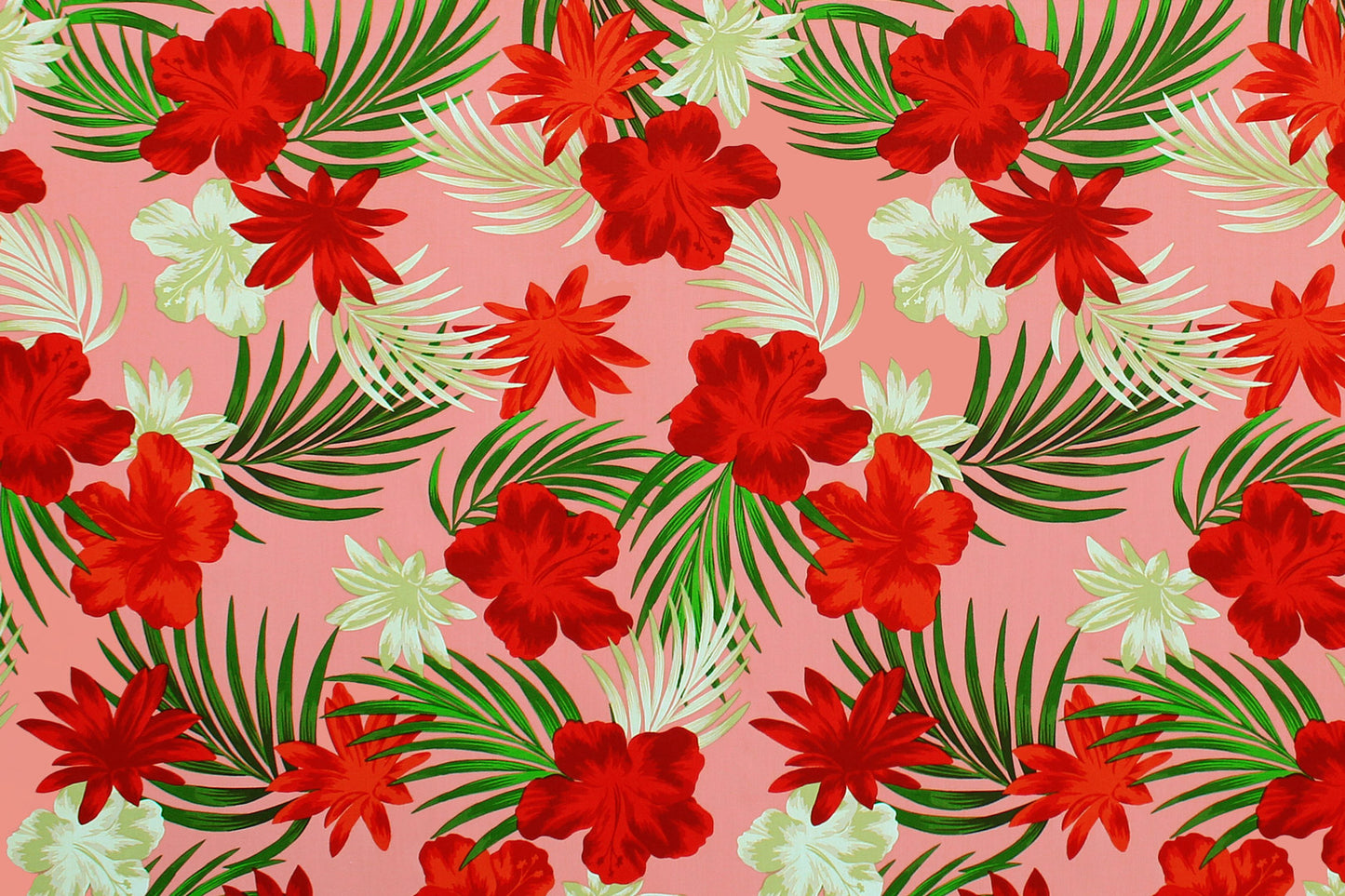 CAA1453 Coral
