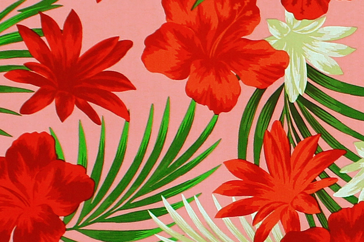CAA1453 Coral
