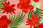 CAA1453 Coral