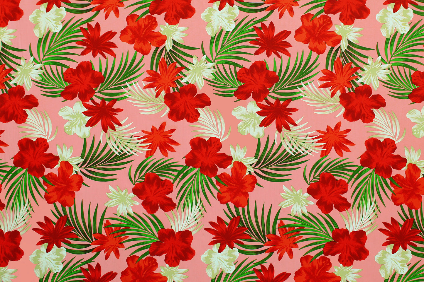 CAA1453 Coral