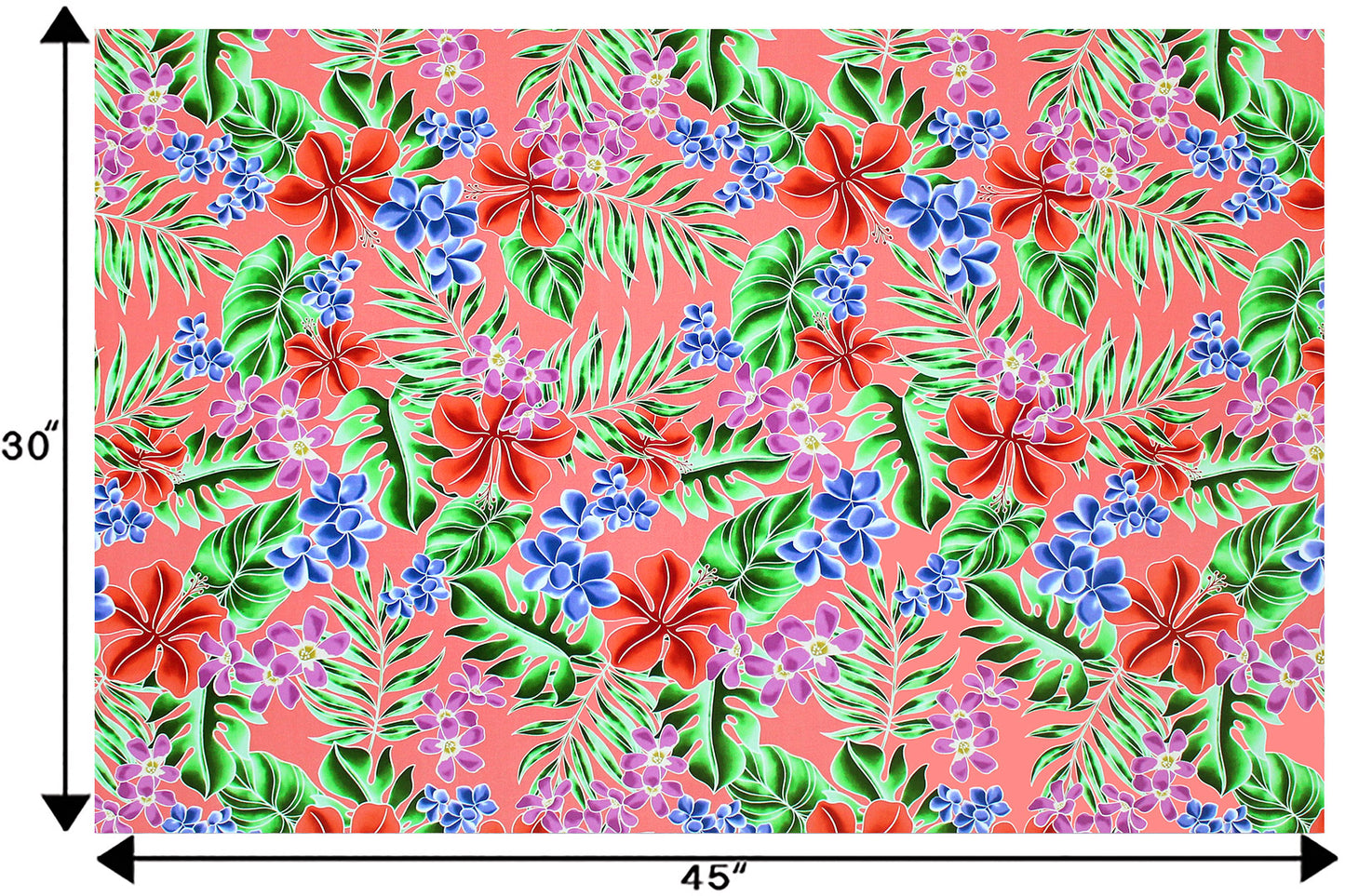 CAA1454 Coral