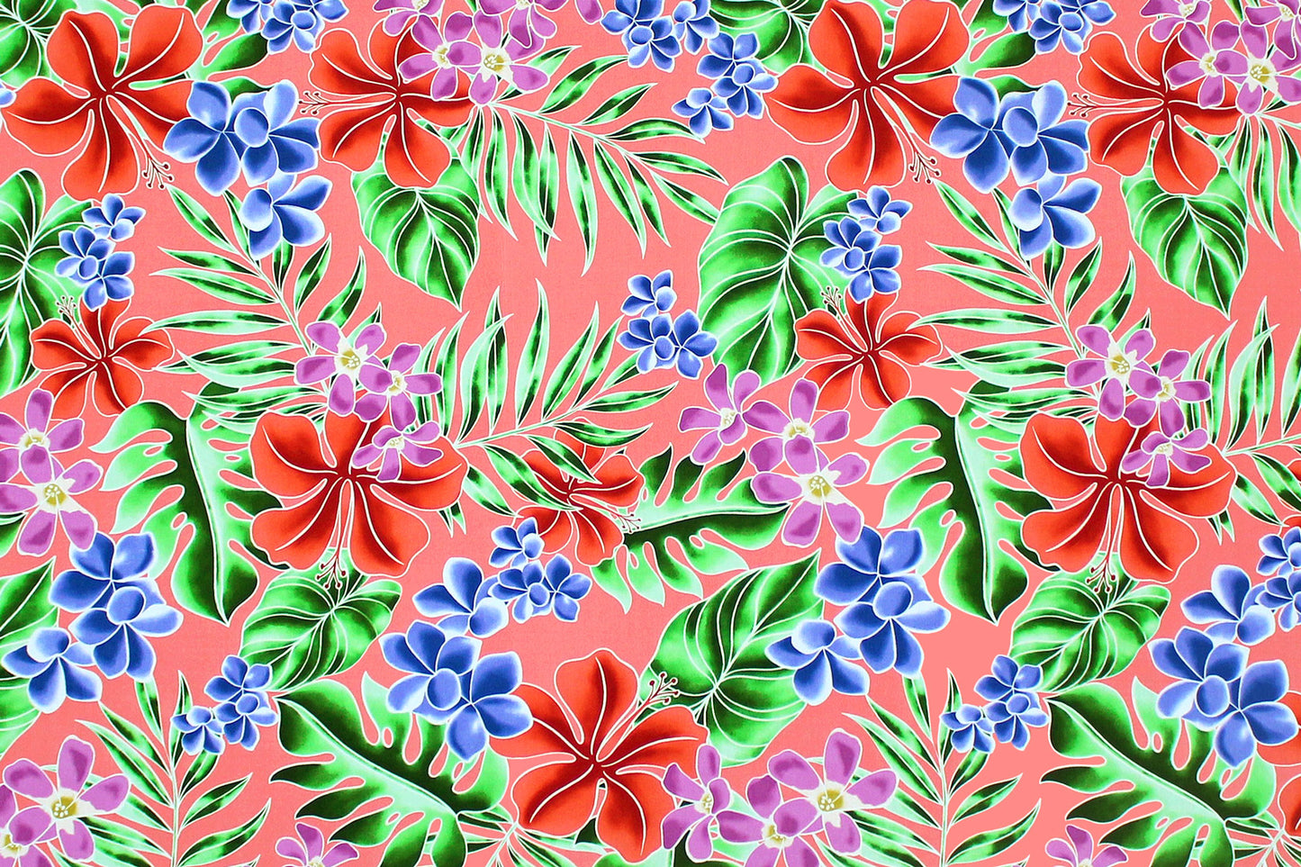 CAA1454 Coral