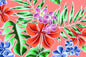 CAA1454 Coral
