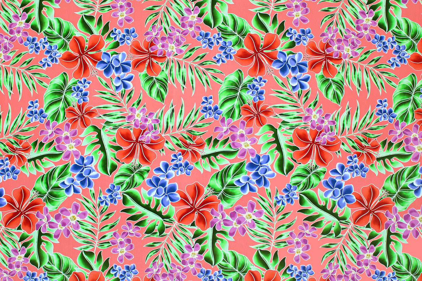 CAA1454 Coral