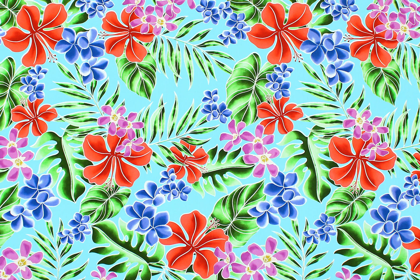 CAA1454 Turquoise