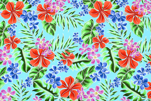 CAA1454 Turquoise