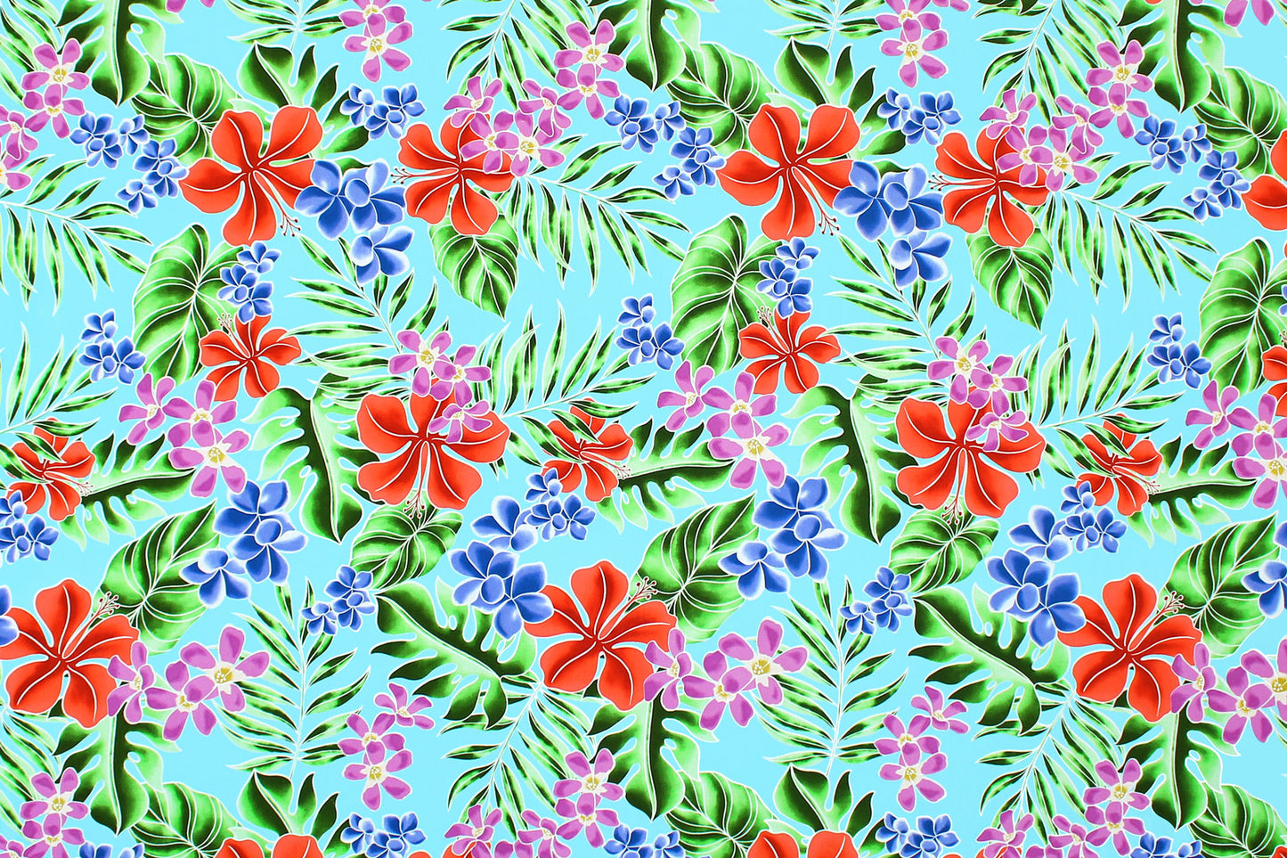 CAA1454 Turquoise