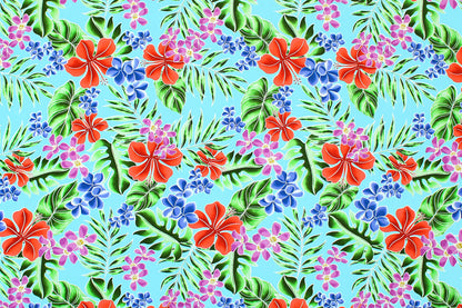 CAA1454 Turquoise