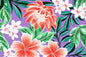 CAA1455 Purple